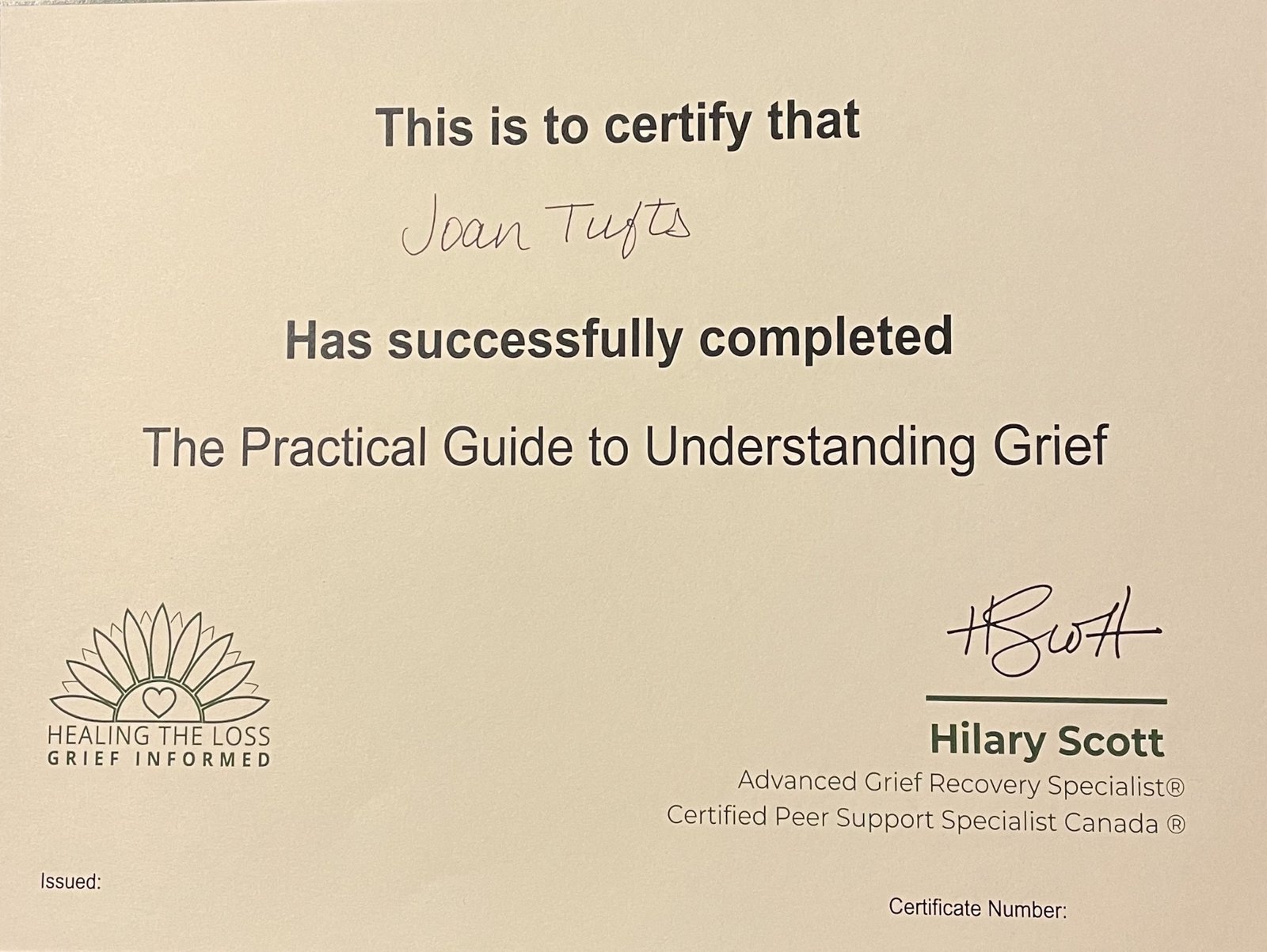 Certificate of completion for The Practical Guide to Understanding Grief